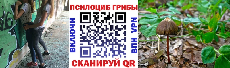 МЕГА   Тюкалинск  Галлюциногенные грибы Magic Shrooms 